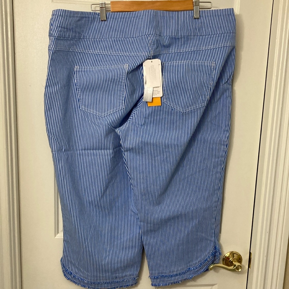 Ruby Rd. Blue and White Striped Pants - Picture 5 of 11
